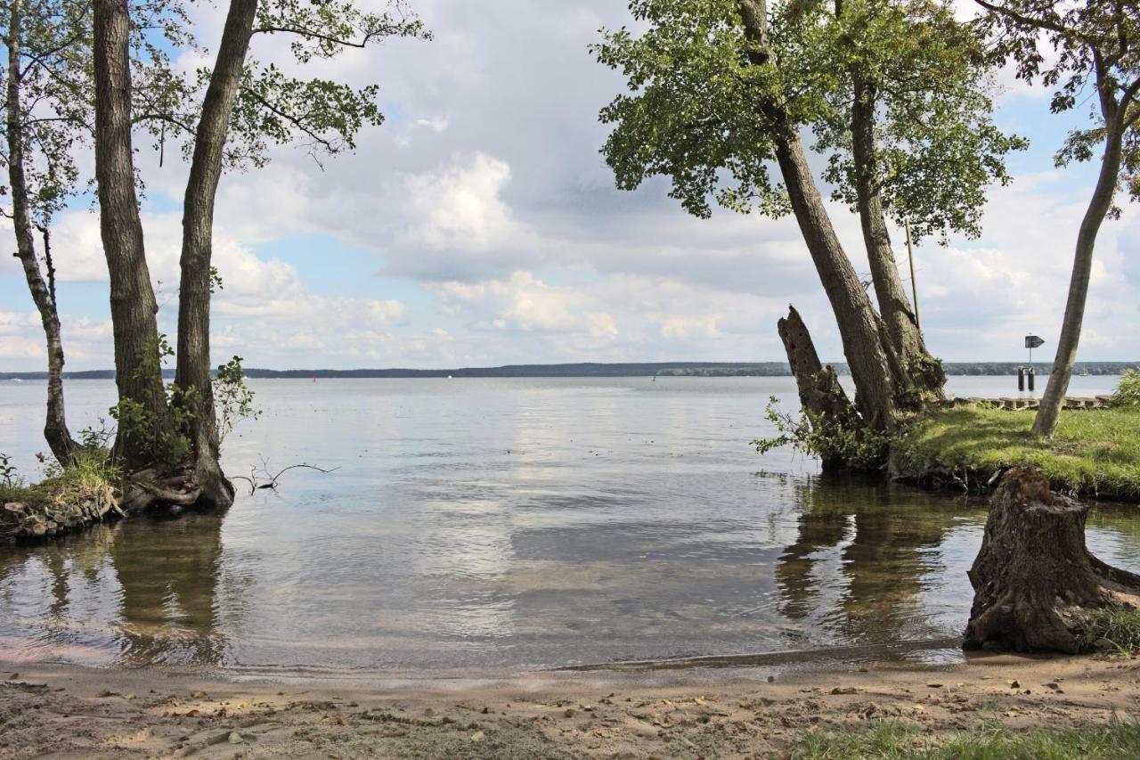 Weisses Haus Plau Lägenhet Plau am See Exteriör bild